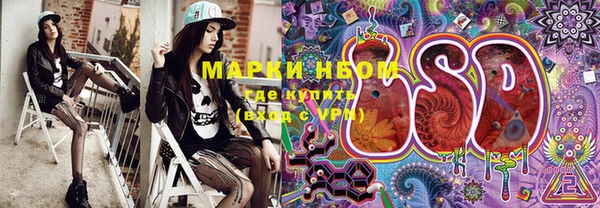 шишки Покачи