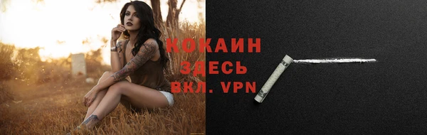 шишки Покачи