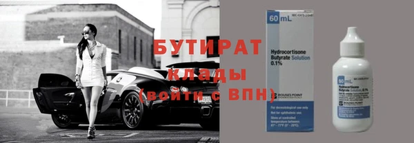 шишки Покачи