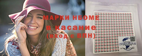 шишки Покачи