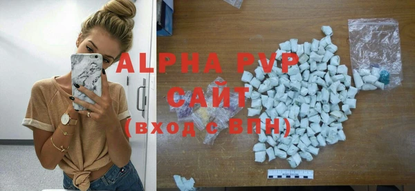 шишки Покачи